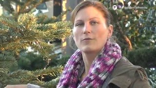 Der Weihnachtsbaum für Draußen – Blatt und Blüte Tipp der Gartenwelt Dauchenbeck