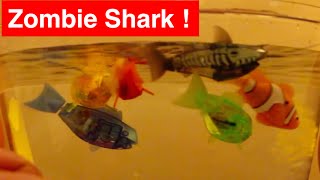 Hexbug Aquabot Zombie Shark - Robotic Fish Battle at Halloween - RoboFish & AquaBot 1s & 2.0