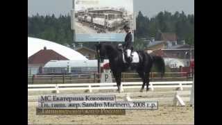 ELITAR. Sandro Marinero-2008. Новый Век. 2013. 1 этап.