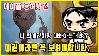 메이플 메린이라면 꼭 봐야할 메이플용어정리 [메이플 초보]