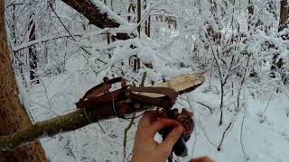Расстановка капканов. Охота на куницу.