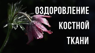 Оздоровление костной ткани | Медитация