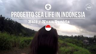 Progetto Sea Life a Bali / INDONESIA - L'esperienza di Martina