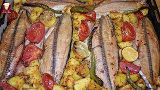 Fırında Palamut Balığı Tarifi Süper Lezzet ( Baked Bonito Fish Recipe)