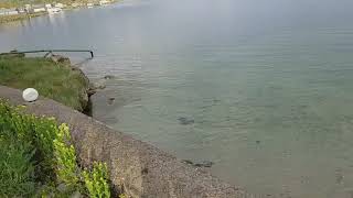 Noy Land Resort, Lake Sevan Armenia(1)
