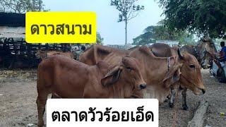 Ep428:ดาวสนาม:ตลาดวัวร้อยเอ็ด 25ม.ค.63