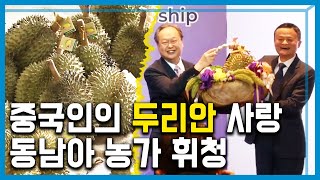 '두리안 먹는 하마' 중국...동남아 과일 농업 '흔들' (135회_2019.8.17.방송)
