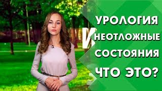 Рейтинг острых заболеваний в урологии | Почечная колика, пиелонефрит. Урология | Индустрия Здоровья