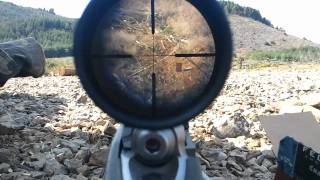 Ruger 10/22 .22lr shooting at 325 meters