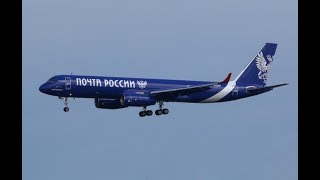 Посылка с инкубационным яйцом // Итоги пересылки // Яйцо Почтой России