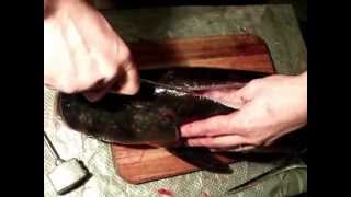 Разделка толстолобика под копчение (филе) carp fillet