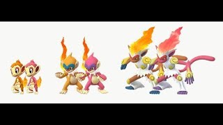 Pokemon GO - Dia da comunidade do Chimchar! Evoluindo shiny!