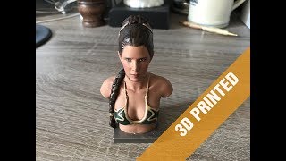 Slave Princess Leia - 3d Printed and Painted