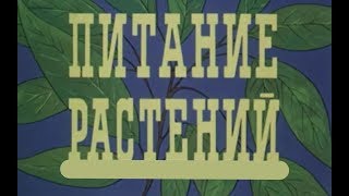 Питание растений