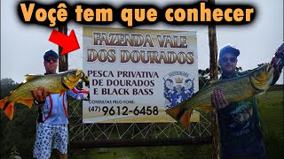 PESCA ESPORTIVA DE DOURADO EM SÃO BENTO DO SUL SC.