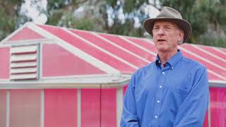 Plants fare well in 'smart' greenhouse