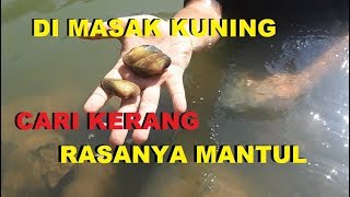 BUKAN MANCING TAPI CARI KERANG DAPAT BANYAK BANGET RASANYA JUGA MANTUL