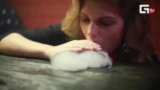 hookahplace Белгород | Евгений Мамунов