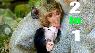 Amazing Video!2 Mouth In 1 in Same Time Breast Milk|Janet Still Try Share Janna Milk|Janet so Hungry