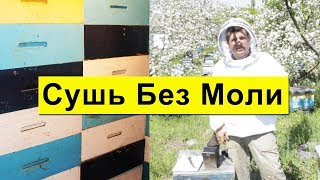 КАК Я СОХРАНЯЮ СУШЬ КРУГЛЫЙ ГОД ОТ ВОСКОВОЙ МОЛИ ? БЫСТРАЯ ПОРЕЗКА ВОЩИНЫ НА 145, МАТКИ КАРНИКА