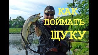 ДЖИГ-РИГ или ТОКИО-РИГ! Щука и сом на ЧУПА ЧУПС! Рыбалка летом.