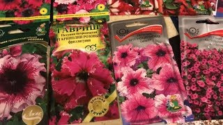 Обзор семян Петунии на 2019 год. Какие семена Петунии я буду сеять в этом сезоне.