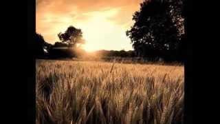 MARTIN feat VICTORIA - Scrisoare din strainatate