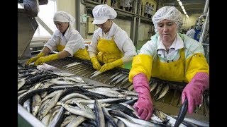 Работа в Польше на рыбозаводе Вакансии в Польше