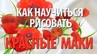 Как научиться рисовать красные маки