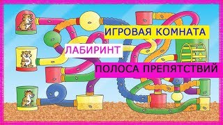 ИГРОВАЯ КОМНАТА И ЛАБИРИНТ ХОМЯК ИГРАЕТ - ПОЛОСА ПРЕПЯТСТВИЙ СДЕЛАЛА СВОИМИ РУКАМИ | ХОМЯЧОК