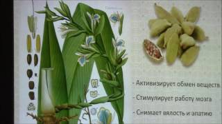 Музеи Санкт- Петербурга .Музей специй. Часть 2. Гвоздика, кардамон и не только.