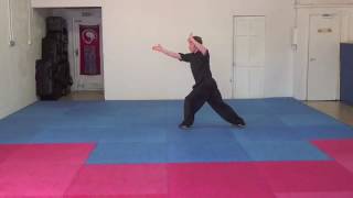 Learn Choy Li Fut Kung Fu | Five wheel fist