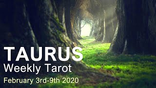 TAURUS WEEKLY TAROT  "CHOOSE YOUR PATH TAURUS"  February 3rd-9th 2020