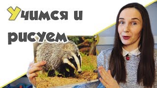 УЧИМСЯ РИСОВАТЬ ♥ Я рисую и раскрашиваю. Мир животных