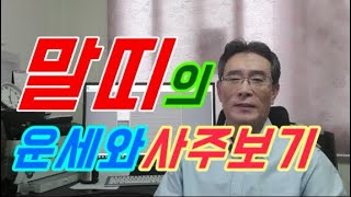 말띠 말띠운세 말띠사주 - 갑오생 임오생 경오생 무오생 병오생  말띠궁합 사주팔자 말띠평생운세