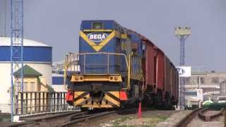 Маневровый тепловоз ТГМ6А-2038  / Diesel shunting locomotive TGM6A-2038