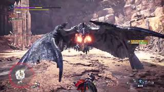 【MHWI】リオレウス希少種　ハンマー
