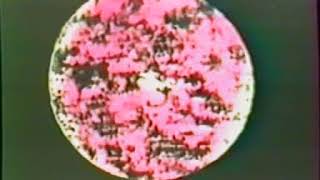 Takahiko Iimura - 1962 - "On Eye Rape"