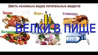 Белки в пище и незаменимые аминокислоты