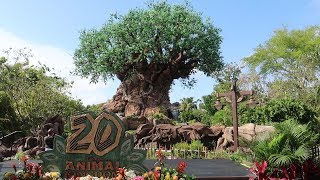 Disney's Animal Kingdom 20th Anniversary Party For The Planet | New Merch, Food & Up Show!