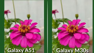 Samsung Galaxy A51 vs samsung Galaxy M30s Camera Comparison | Camera Review a51 vs m30s.