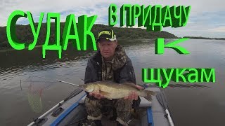 СУДАКИ и ЩУКИ на ТРОЛЛИНГ ловля на воблер