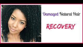 My 5 Tips On Recovering From Damaged Natural Hair ? Curly Hair