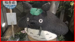 TIENDA STUDIO GHIBLI EN KYOTO ★ Mustangcillo en Japón