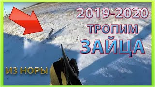 ☝▶ Охота на зайца 2019 - 2020, Заяц из норы, зимняя охота на зайца, тропим зайца русака по снегу