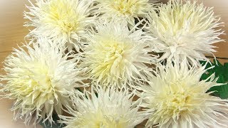 Простой способ хризантемы из гофрированной бумаги креп бумага / easy paper flowers diy