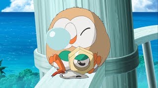 Rowlet Makes a New Friend! | Pokémon the Series: Sun & Moon—Ultra Legends | Official Clip