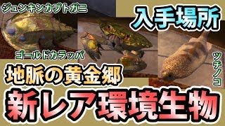 【MHW実況】『地脈の黄金郷』新レア環境生物3種を入手しよう！【モンスターハンター:ワールド】