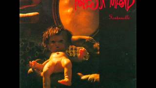 Babes in Toyland - Fontanelle [Full Album]