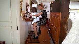 Józef Surzyński - "Krótkie przygrywki na organy" op. 19
